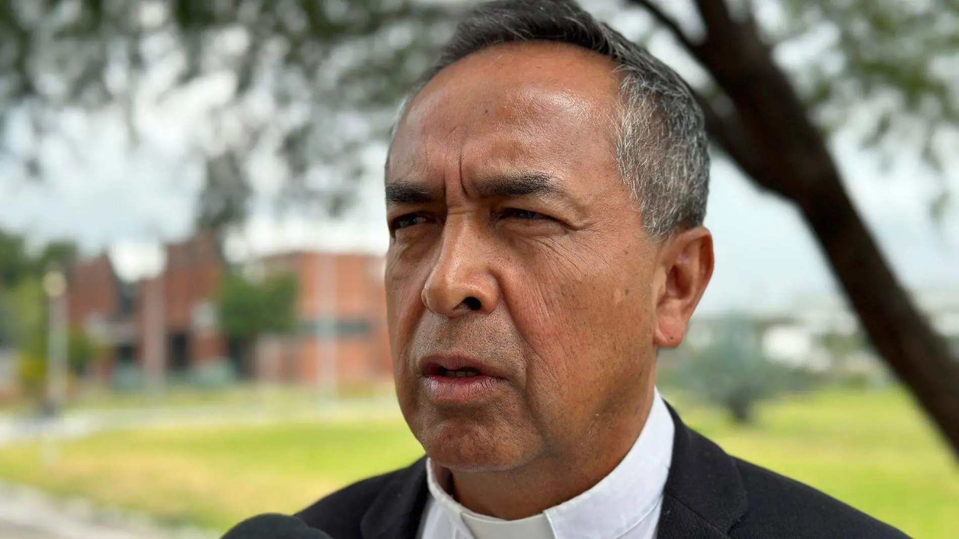 Padre Carlos Sandoval ok